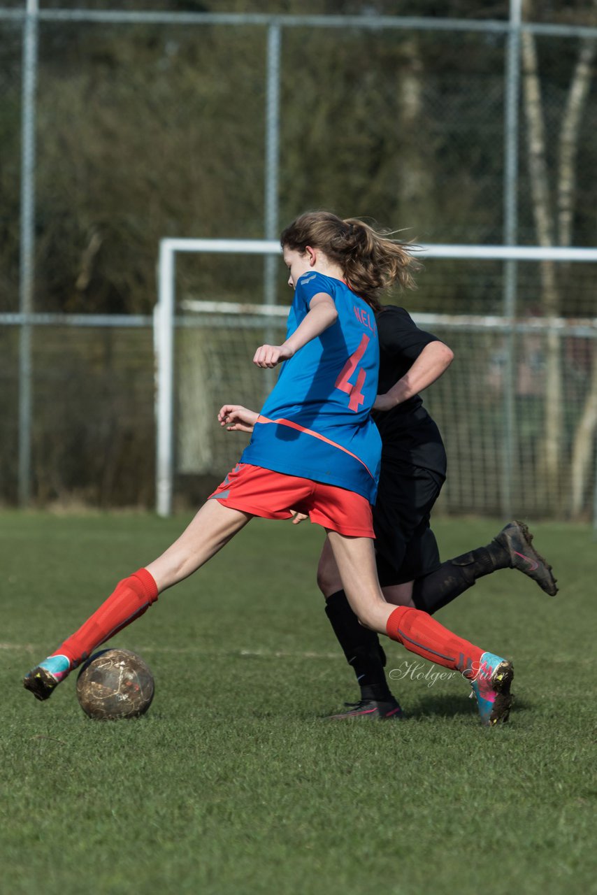 Bild 231 - C-Juniorinnen SV Steinhorst/Labenz - TSV Friedrichsberg-Busdorf : Ergebnis: 5:0